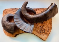 Buffalo Horn (medium 120g-180g)